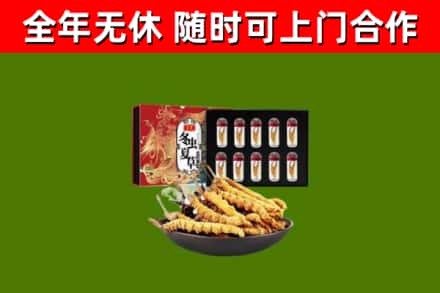 凉州区烟酒回收冬虫夏草礼盒.jpg
