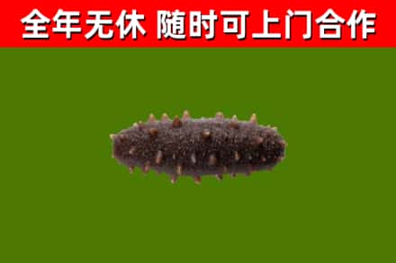 凉州区烟酒回收干海参.jpg
